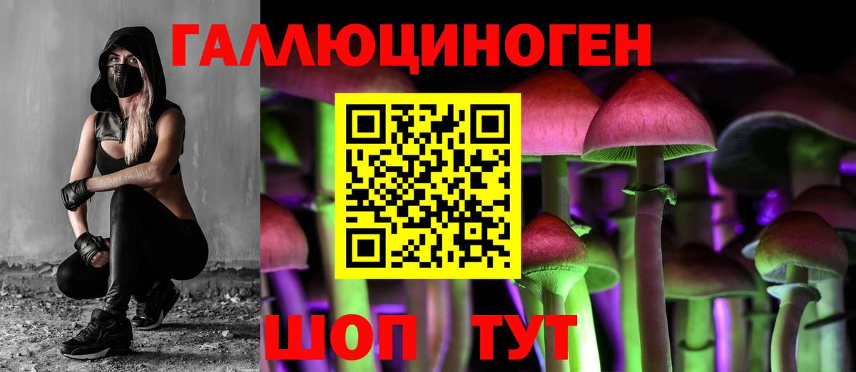 Псилоцибиновые грибы Psilocybe  наркошоп  Салават  Вход с VPN 
